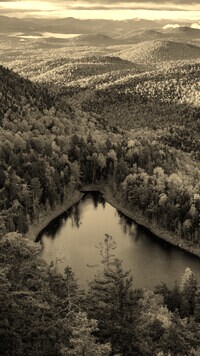 Szary + Sepia
