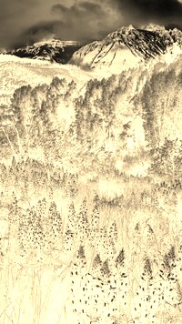 Sepia + Negatyw