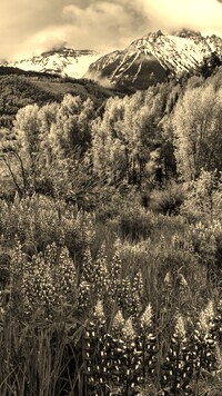Sepia