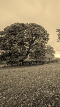 Szary + Sepia