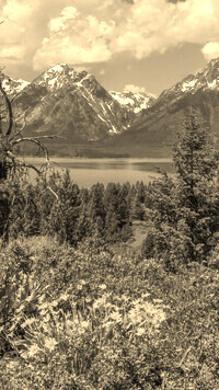Sepia