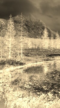 Sepia + Negatyw