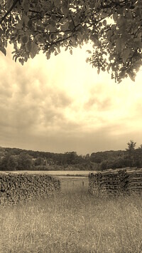 Szary + Sepia