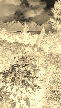 Sepia + Negatyw