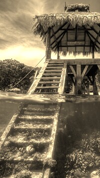 Szary + Sepia