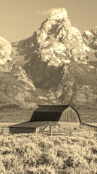 Szary + Sepia