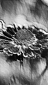 Skamielina