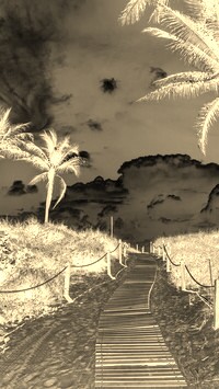 Sepia + Negatyw