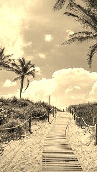 Szary + Sepia