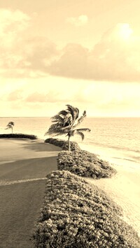 Szary + Sepia
