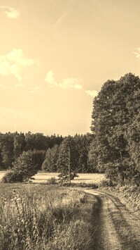 Szary + Sepia