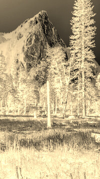 Sepia + Negatyw