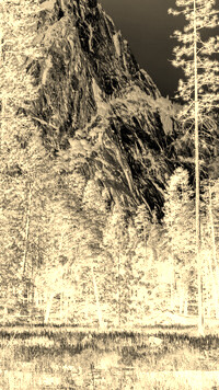 Sepia + Negatyw