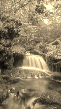 Sepia