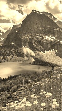 Sepia