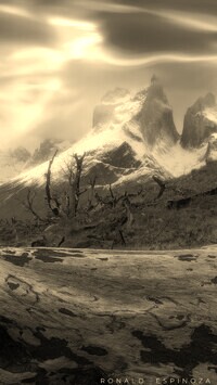 Szary + Sepia