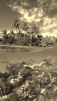 Sepia