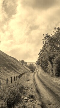Sepia
