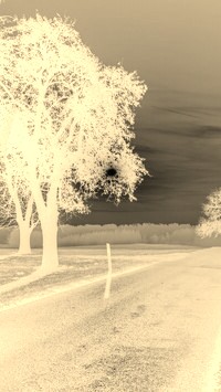 Sepia + Negatyw