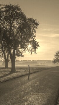 Szary + Sepia
