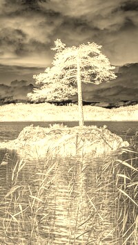 Sepia + Negatyw