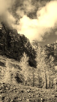Szary + Sepia