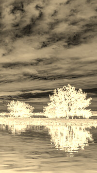Sepia + Negatyw