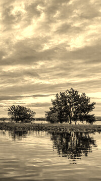Sepia