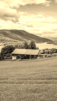 Szary + Sepia