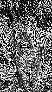 Skamielina