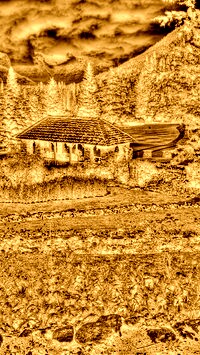 Sepia + Negatyw