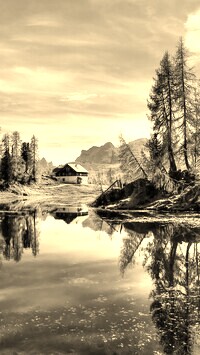 Szary + Sepia