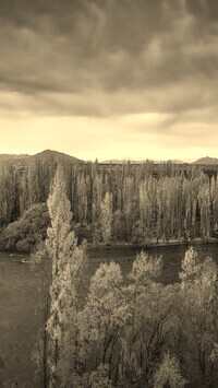 Sepia
