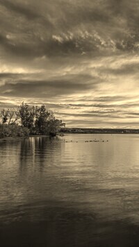 Sepia
