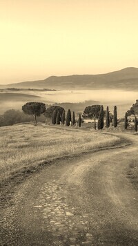 Szary + Sepia