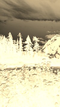 Sepia + Negatyw