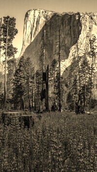 Szary + Sepia