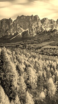 Szary + Sepia