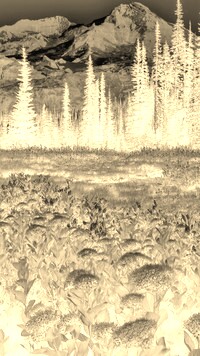 Sepia + Negatyw
