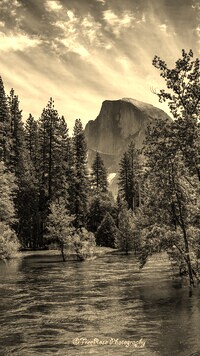 Sepia