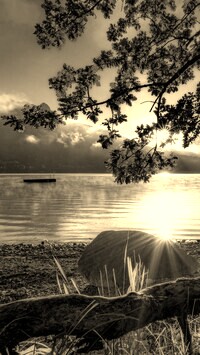 Szary + Sepia