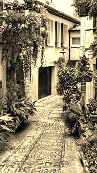 Szary + Sepia