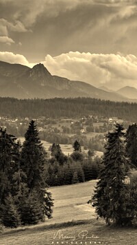 Szary + Sepia