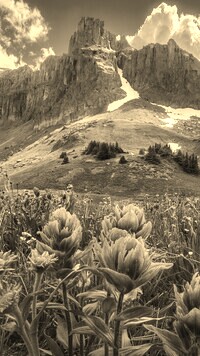 Sepia