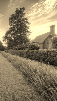 Szary + Sepia