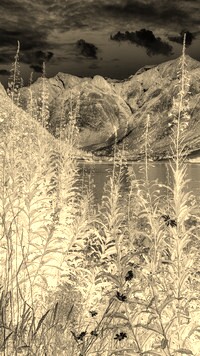 Sepia + Negatyw