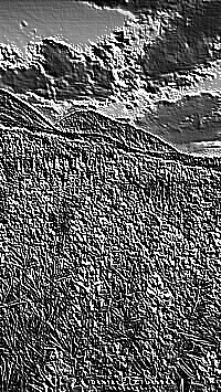 Skamielina