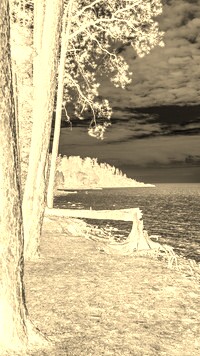 Sepia + Negatyw