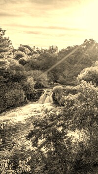 Szary + Sepia