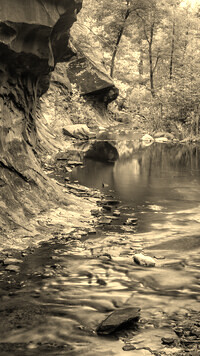 Sepia
